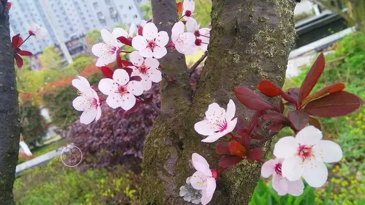 不看后悔（思念的诗句 心上人）特别想念一个人的诗句 第3张