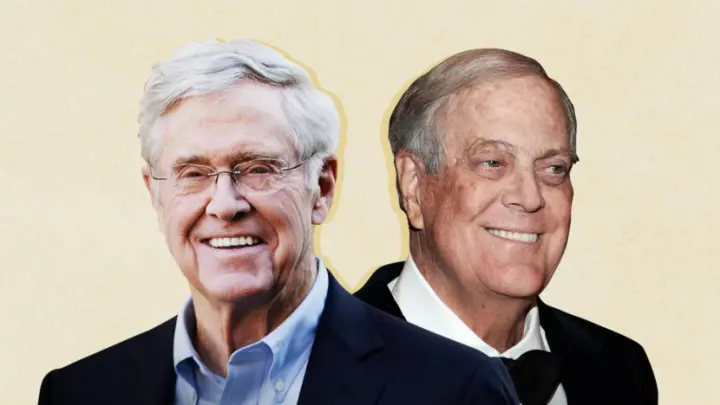 Koch network