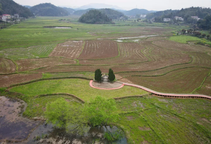 茶恩寺镇双阳村马家祖墓 潮新闻记者 王嘉楠 摄