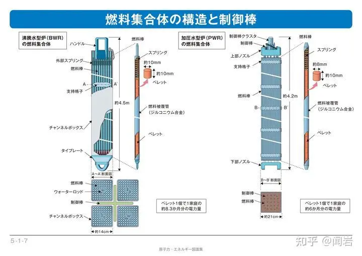 图中的细圆棒即为核燃料棒。燃料棒的本体为锆合金做成的封套。厚度为1mm，长度约为4m。其中装了很多的以铀235为主要成分的核燃料颗粒。
