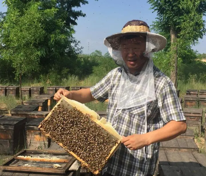 枣花蜜的功效与作用及禁忌?枣花蜜适合什么人群?（枣花蜜的作用与功效及食用方法禁忌）