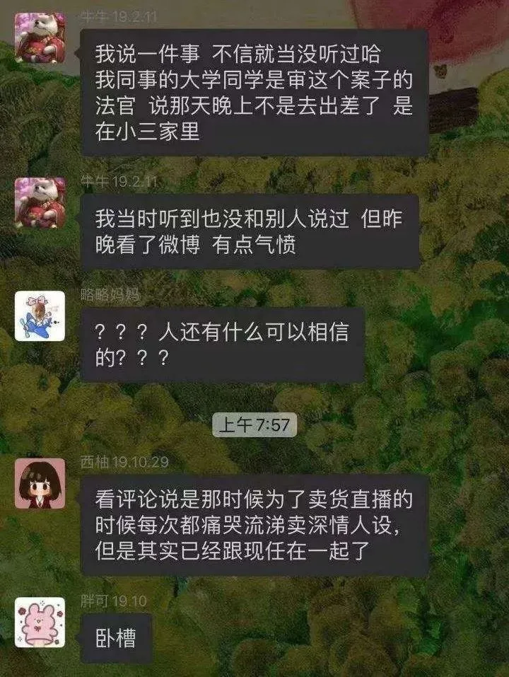 好男人人设作假？网红林生斌翻车，被曝在妻子去世半年就牵手新欢-林生斌网友评论
