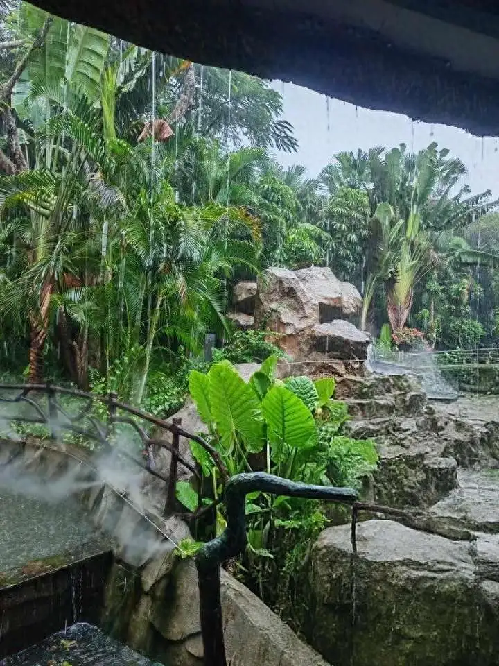 十一假期出门前必做这件事，旅途省心又顺畅