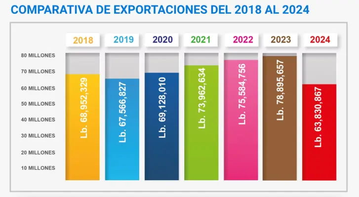 2018-2024鶼˹ˮƷڶӢƣͼԴ鶼˹ˮƷЭᣩ