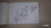 线描花卉绘画过程——简单易学