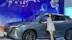 续航1200KM还有外放电，Z6 iDD可玩性有多少？