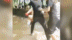 婚闹又升级：新郎被扒光扔进泥河 众人岸上哄笑