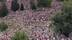 11万人挤爆霉霉慕尼黑演唱会，4万人无票坐场外山顶应援！