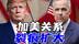 加拿大大选转折自由党靠“反特牌”逆袭，特朗普成全球右翼毒药