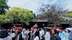 成都武侯祠：古今交融绘就文旅亮丽图景