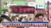 台湾频传虐童案 民众愤怒吁成立儿少保护部