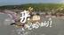 青岛渔村把小海鲜做成大生意 网络成乡村振兴新引擎