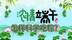 端午必看！一条视频教你如何科学吃粽，还不来看看？