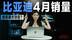 比亚迪4月销量超38万辆，谁是最大功臣？