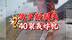 40架俄罗斯战略轰炸机被炸？乌克兰用卡车搭载FPV无人机，整出大活