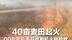 40亩麦田起火 00后农机手开收割机火中抢收  当事人：出身农家 不忍粮食被毁