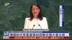 德国前外长当选第80届联合国大会主席