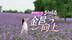 金昌向上
