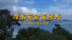中国驻印尼大使馆发布潜水安全宣传片提醒中国游客关注潜水安全
