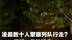 凌晨数十人蒙眼列队行走？淄博一景区回应：一家公司组织健步走活动 涉事公司已道歉