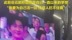 黄晓明和陈梦现身岳云鹏演唱会，面对镜头挥手比心