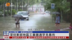 粤语报道｜深圳东部地区工业园遇罕见暴雨
