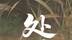 立秋不是秋，秋在处暑后