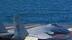 官宣：海军三型舰载机成功在福建舰完成起降训练！#福建舰 #军事 #正能量 #现场