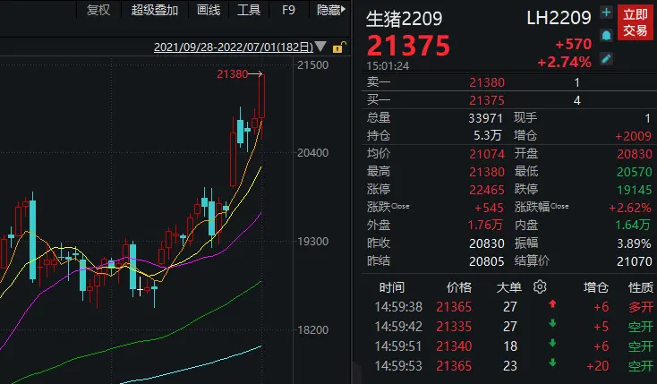 猪价6月涨近24%：短期供应仍偏紧，头部企业看好下半年行情