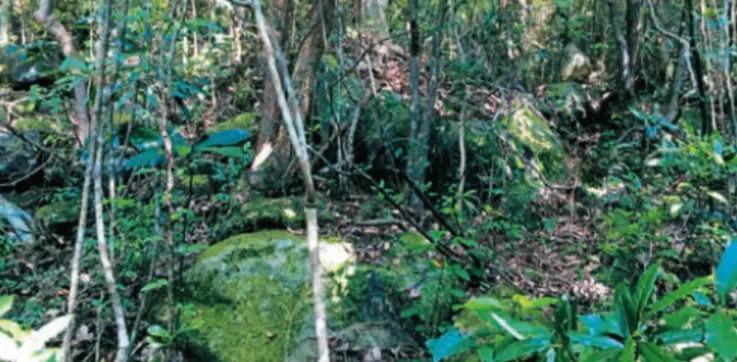 “针织大王”孙女被绑架细节曝光：被囚山洞4天，绑匪拿到2800万后逃跑_https://www.izongheng.net_快讯_第5张