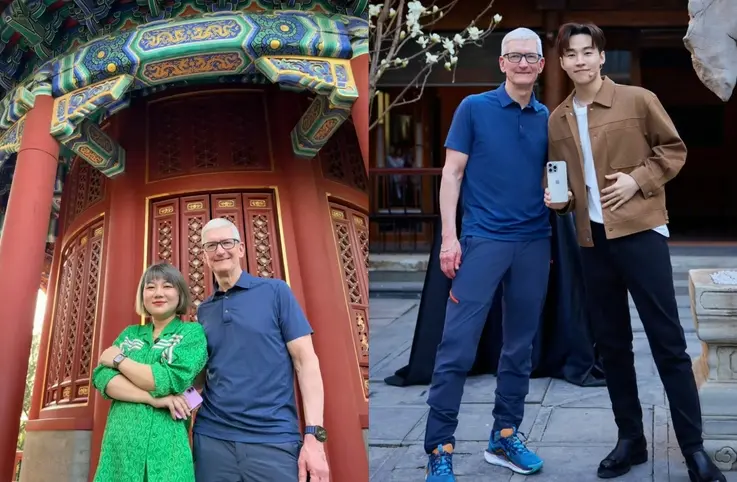 图片引用自网络