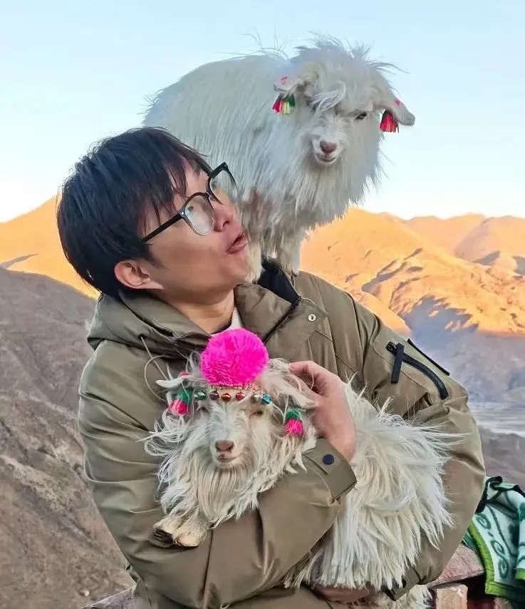 ◎ 还是小奇，摸羊的小奇