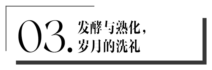 越早知道越好（要恶搞男朋友怀孕吗）恶搞男朋友的一百种方法 第8张