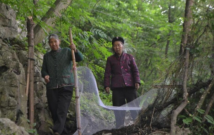 886ef774b5022806cd1414cbb66ee356.jpg