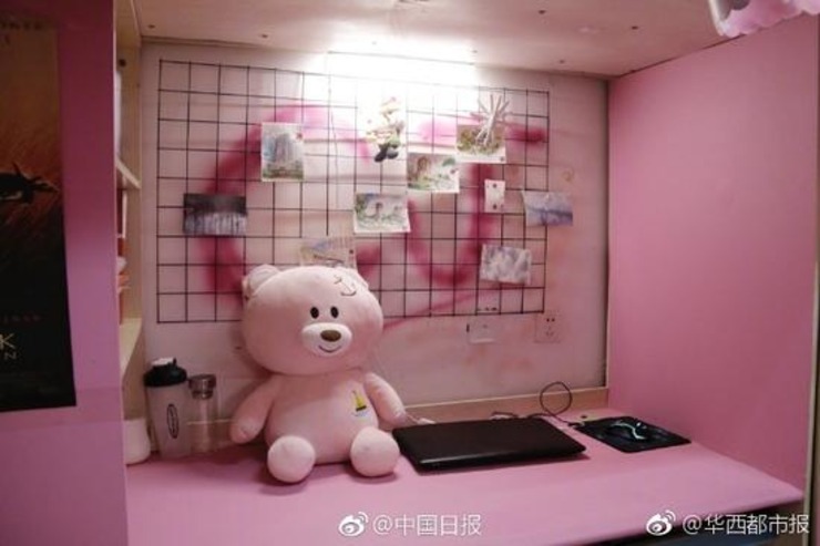 理工科男生将寝室装扮成粉红色海洋