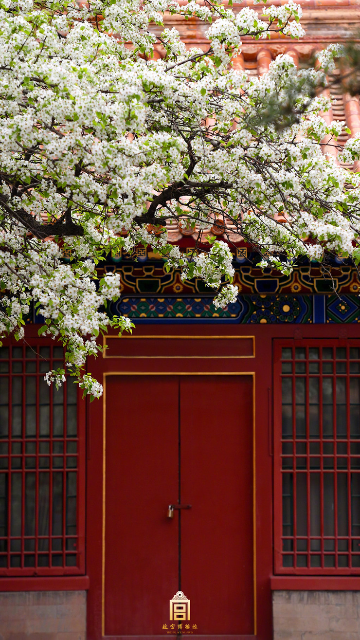 故宫 一朝步入画卷,一日梦回百年