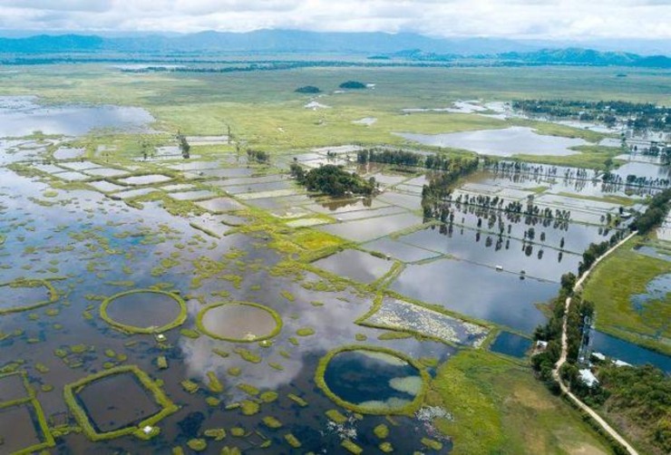 浮住人口_美国设计出 海上漂浮城市 可供5万人住在家里环游世界