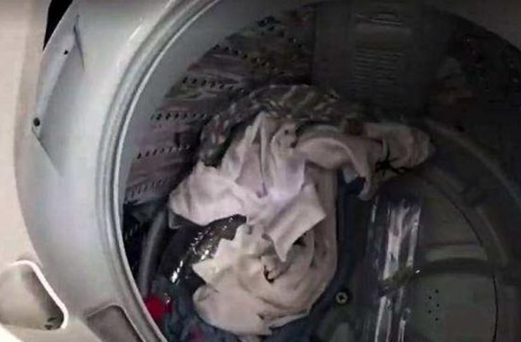 600f73a1e156393ce1212d4e71c85002.jpg