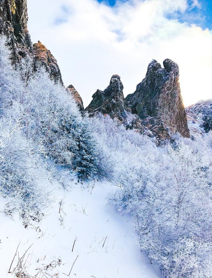 美到爆的冬天!只有极少人能看到的雾凇奇景