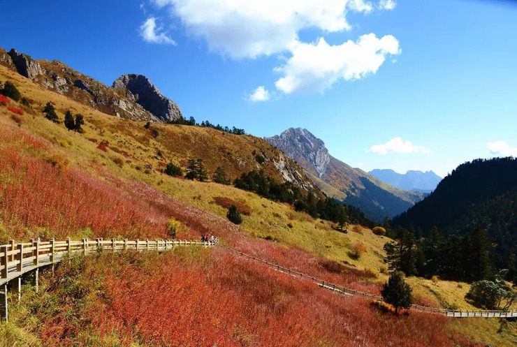 甘肃陇南宕昌雷古山是去一次就上瘾的地方