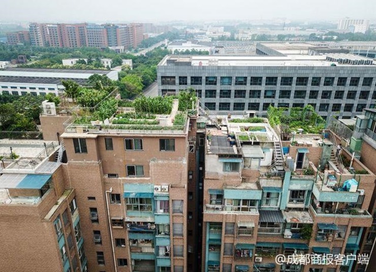 成都一小区15栋楼楼顶全被"违建"攻陷:或被冻结产权