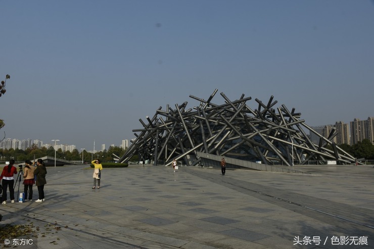 鸟巢怎么搭_鸟巢怎么画