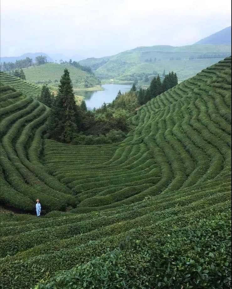 这里的古村落，在86年前就惊艳了林徽因梁思成夫妇，在他们编纂的《中国建筑史》一书中刊登的一张浙赣山区