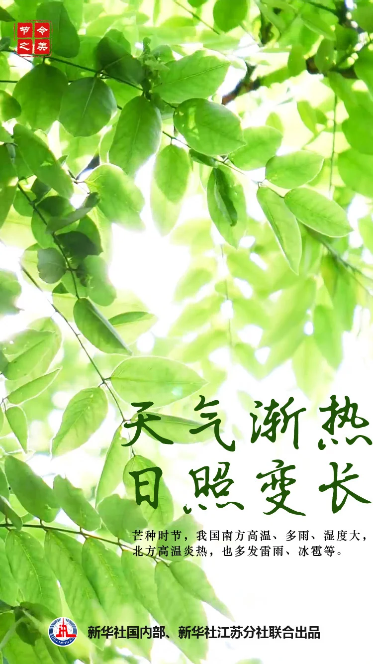 节令之美·芒种|芒种芒种  忙收忙种（芒种这个节气是什么意思）