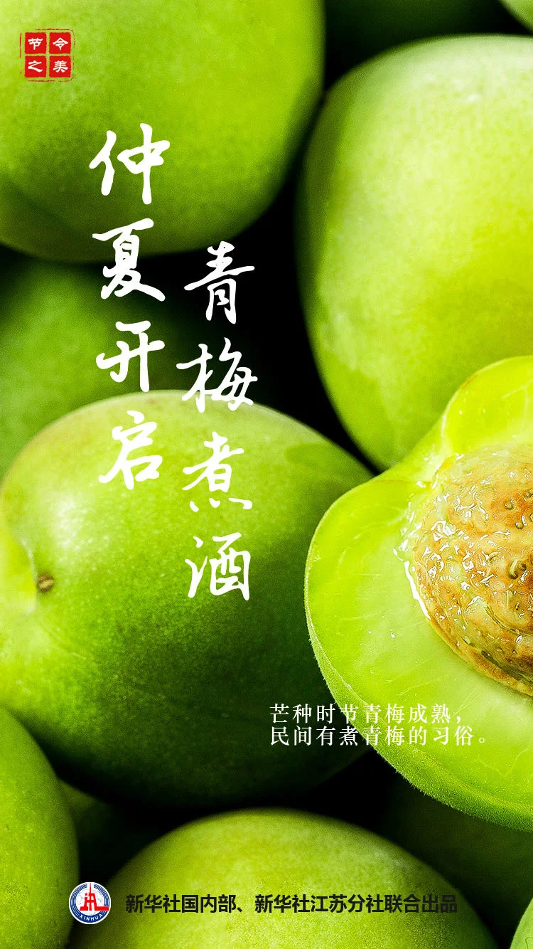 节令之美·芒种|芒种芒种  忙收忙种（芒种这个节气是什么意思）