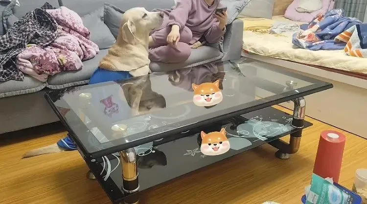 山西的家