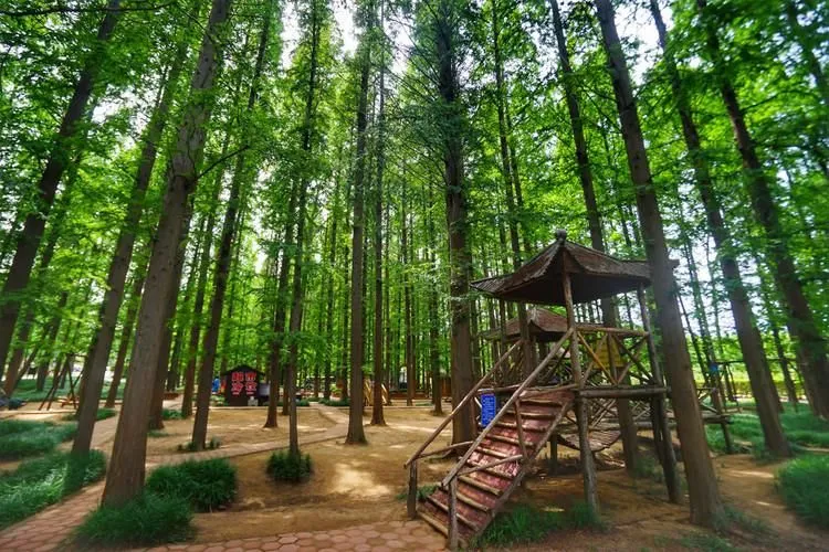 日照自由行旅游攻略，适合自驾游学生和带娃游-日照海边吃住一体的民宿