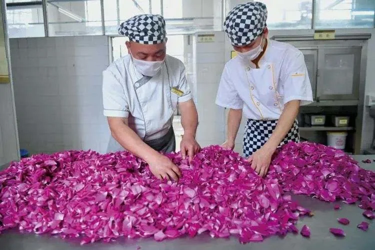 2018年4月18日，云南昆明。云南大学食堂工作人员分拣玫瑰花制作鲜花饼。（图/任东/中新社)