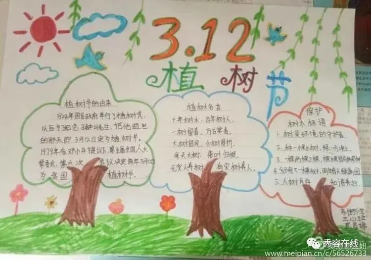 忻府区东街小学2020年植树节手抄报活动作品展-植树节手抄报比赛作品