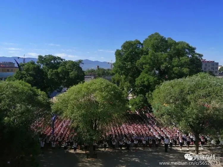 忻府区东街小学2020年植树节手抄报活动作品展-植树节手抄报比赛作品